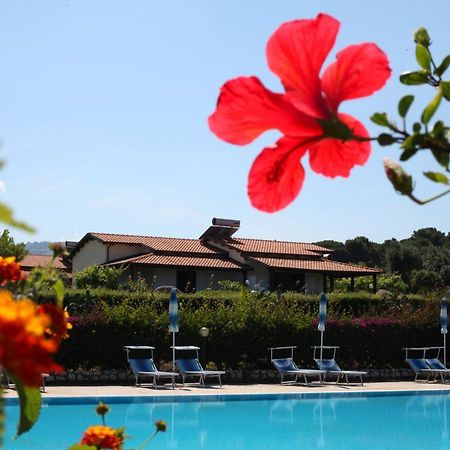 Agriturismo Ninea Ricadi Εξωτερικό φωτογραφία