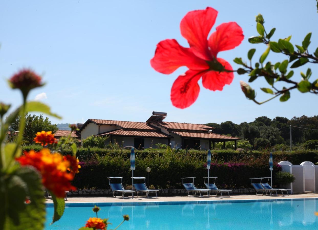 Agriturismo Ninea Ricadi Εξωτερικό φωτογραφία