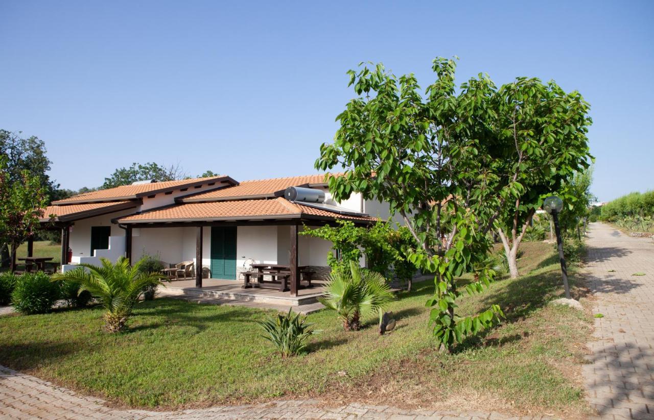 Agriturismo Ninea Ricadi Εξωτερικό φωτογραφία