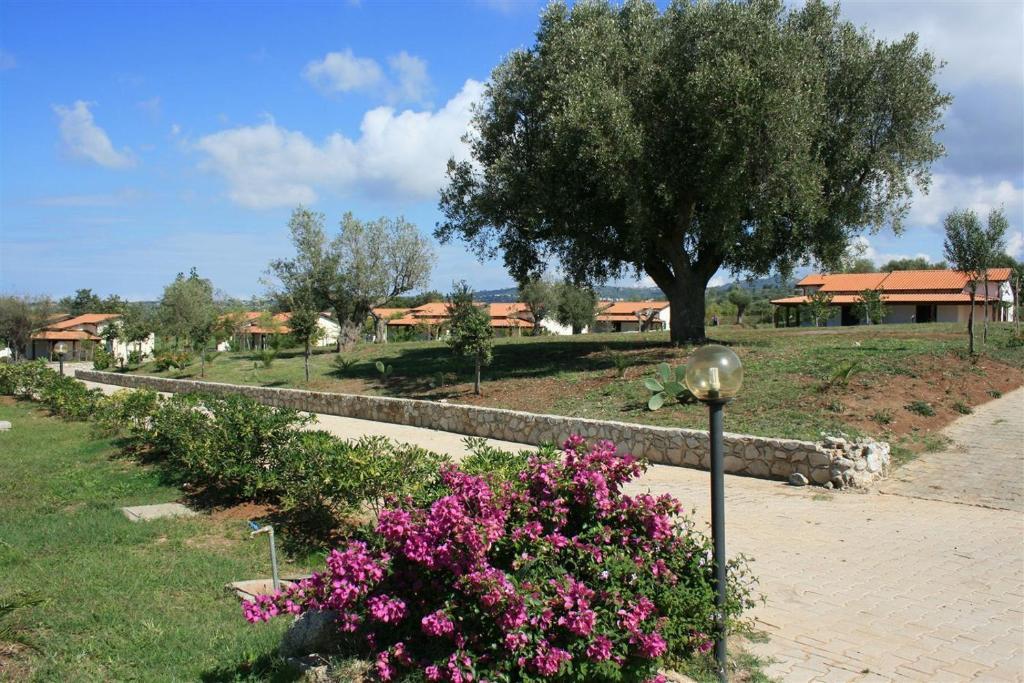 Agriturismo Ninea Ricadi Εξωτερικό φωτογραφία