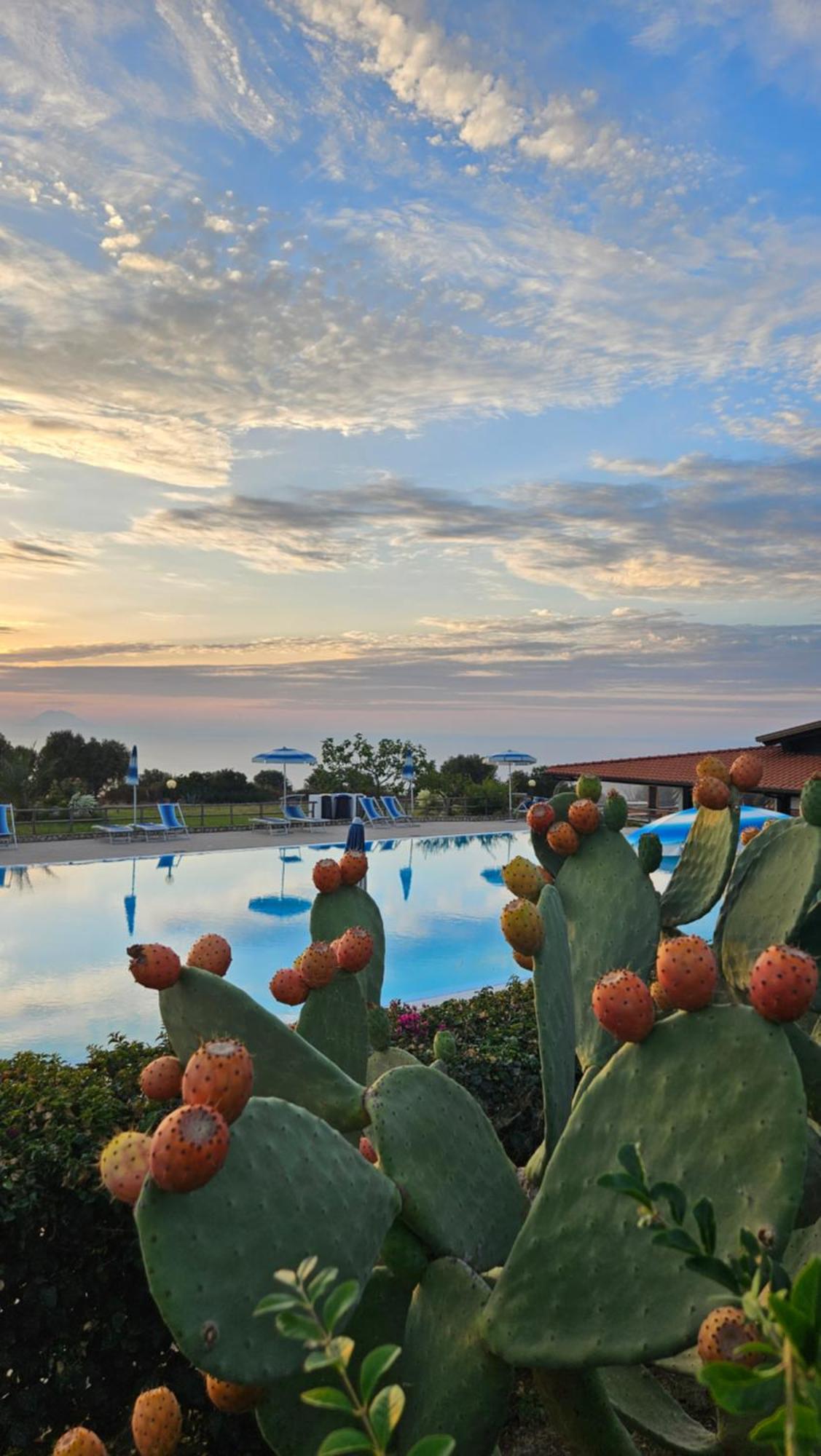 Agriturismo Ninea Ricadi Εξωτερικό φωτογραφία