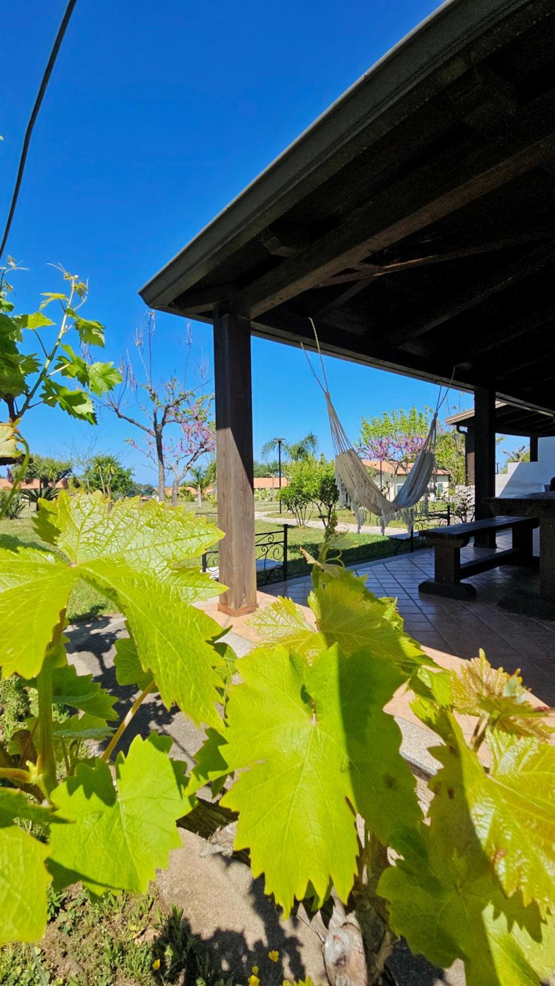 Agriturismo Ninea Ricadi Εξωτερικό φωτογραφία